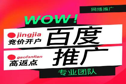 百度推广平台案例分析：效果显著的成功案例
